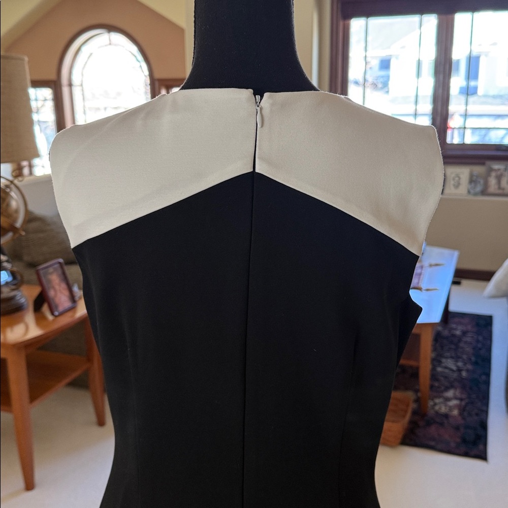 White House Black Market Fully Lined Sleeveless Dress - Picture 4 of 6